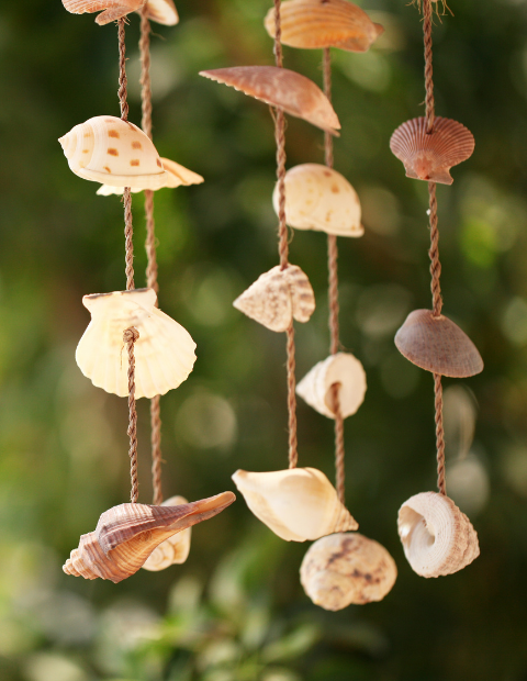 Capiz Wind Chimes