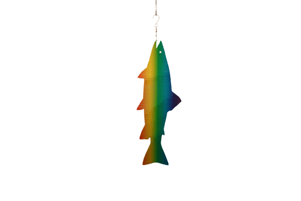 Fish Spinner_GS01615RB_removebg