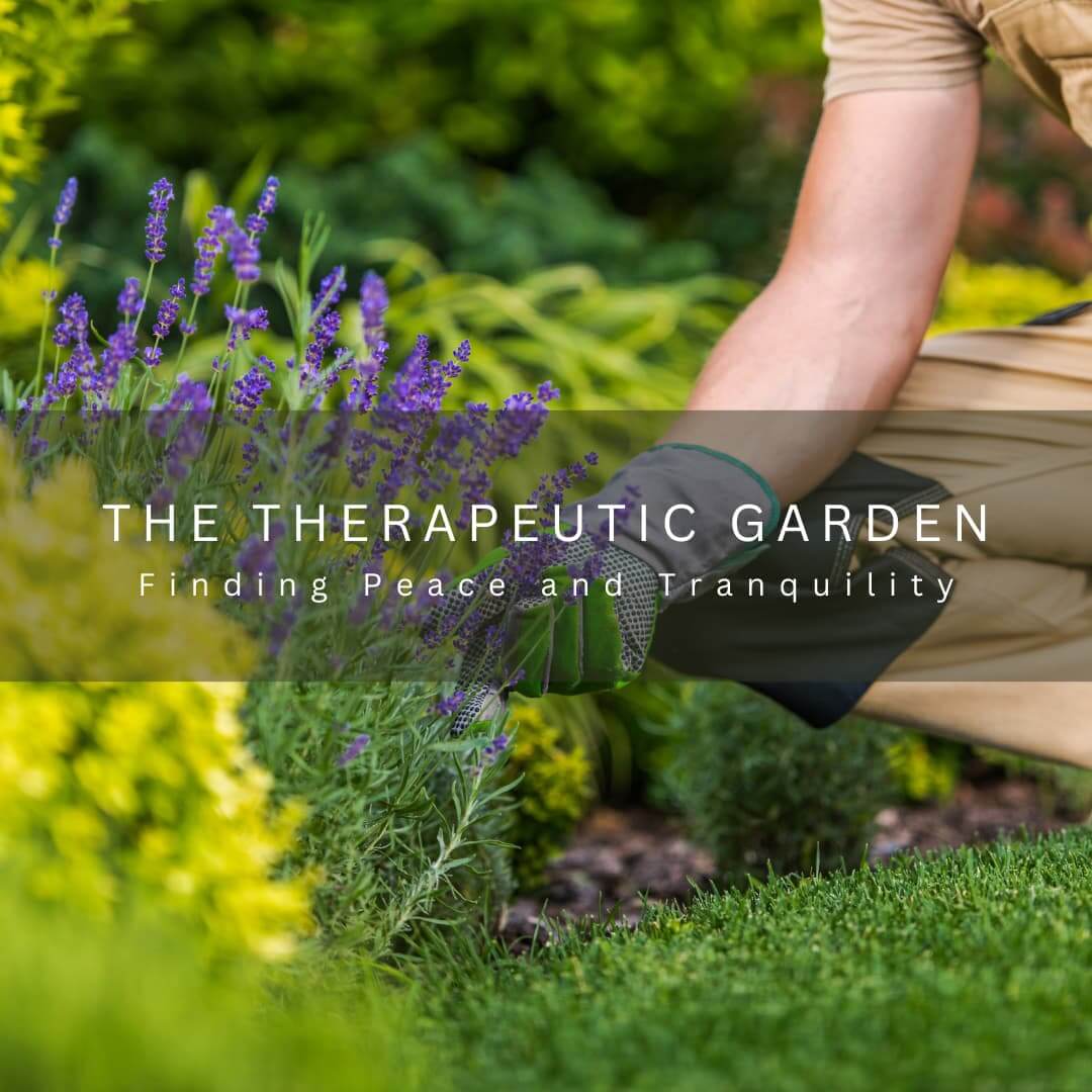 Therapeutic Garden: Finding Peace & Tranquility